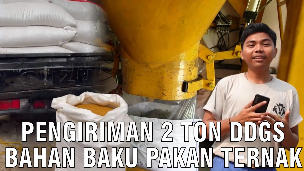 
                                 Pengiriman-2-Ton-DDGS-Bahan-Pakan-Ternak